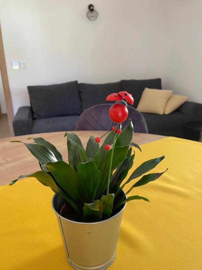 New Apartments Teravila Ратече Екстер'єр фото