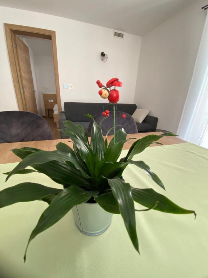New Apartments Teravila Ратече Екстер'єр фото
